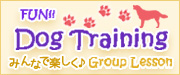 FUN!!DogTraining