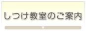 しつけ教室のご案内